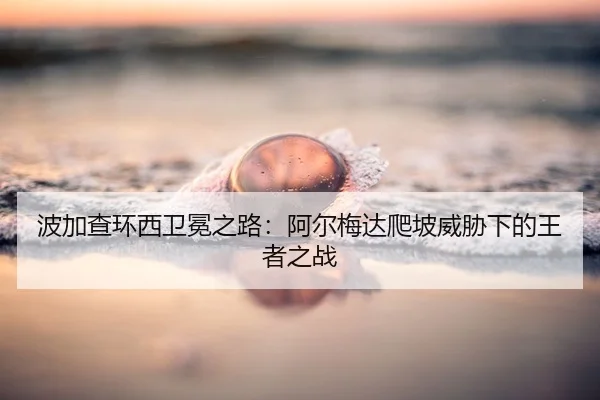 bo-jia-cha-huan-xi-wei-mian-zhi-lu-a-er-mei-da-pa-po-wei-xie-xia-de-wang-zhe-zhi-zhan-2-231.jpg