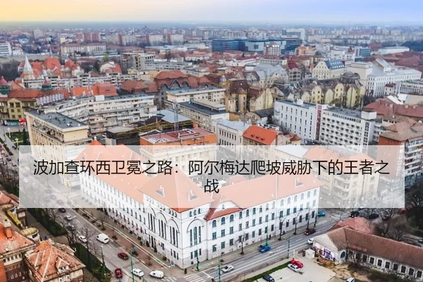 bo-jia-cha-huan-xi-wei-mian-zhi-lu-a-er-mei-da-pa-po-wei-xie-xia-de-wang-zhe-zhi-zhan-3-934.jpg