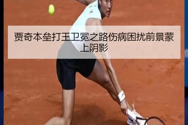 jia-qi-ben-lei-da-wang-wei-mian-zhi-lu-shang-bing-kun-rao-qian-jing-meng-shang-yin-ying-2-222.jpg