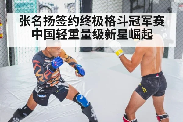 张名扬签约终极格斗冠军赛 中国轻重量级新星崛起
